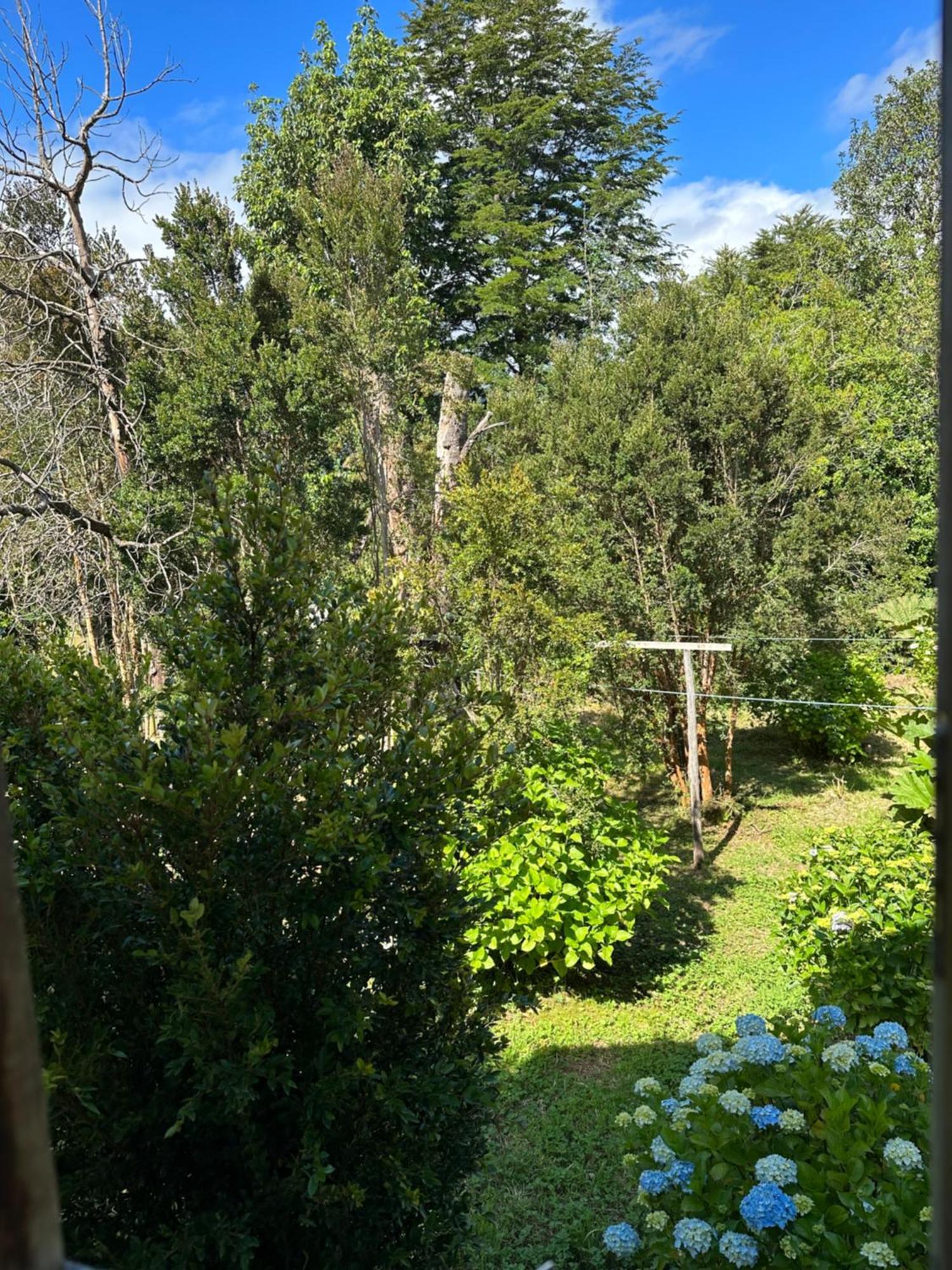 Cabanas Kuyen Austral Hornopiren Εξωτερικό φωτογραφία